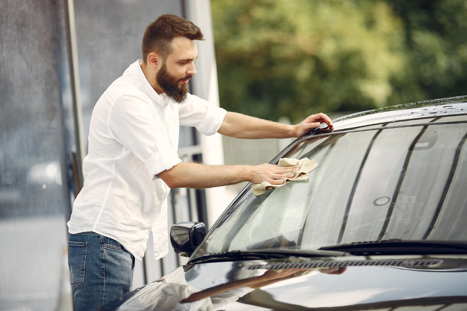 Auto Glass